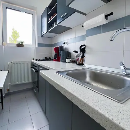 Old Calea Victoriei Deluxe Bucarest