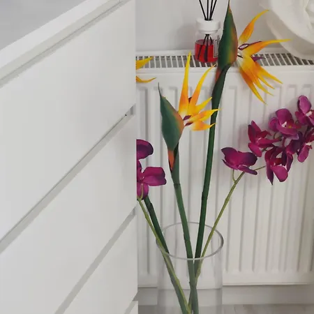 Old Calea Victoriei Deluxe Bucarest