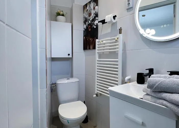 Old Calea Victoriei Deluxe Apartment