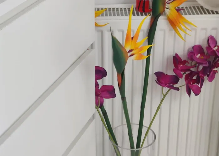 Old Calea Victoriei Deluxe 부쿠레슈티