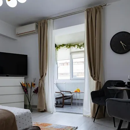 Old Calea Victoriei Deluxe Apartment *