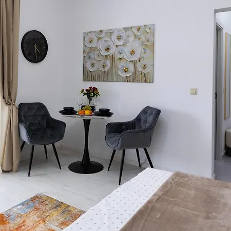 Old Calea Victoriei Deluxe Apartment Bucharest