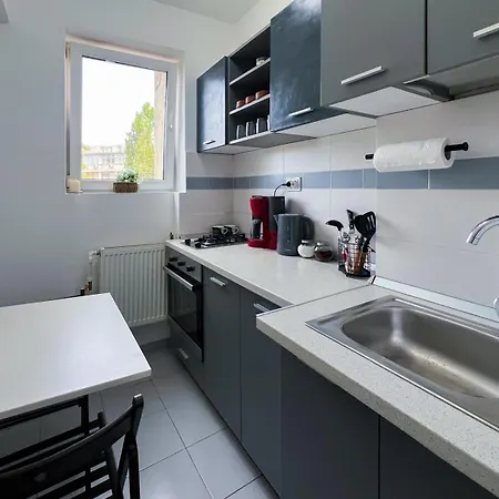 Old Calea Victoriei Deluxe Apartment