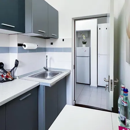 Old Calea Victoriei Deluxe Apartment *