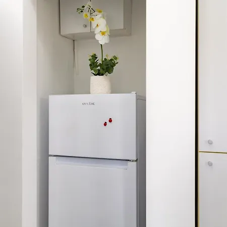 Old Calea Victoriei Deluxe Apartment