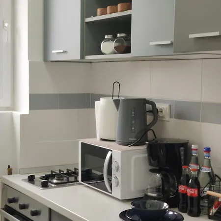 Old Calea Victoriei Deluxe Apartment Bucharest