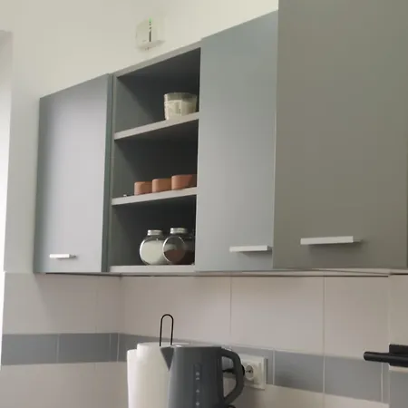 Old Calea Victoriei Deluxe Apartment